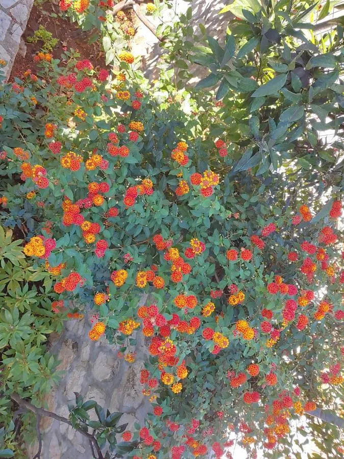 Affittacamere Villa Leonel Zeka Ksamil Albania